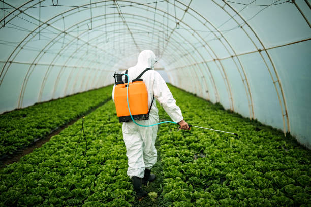 Best Ant Control Services  in Stock Island, FL